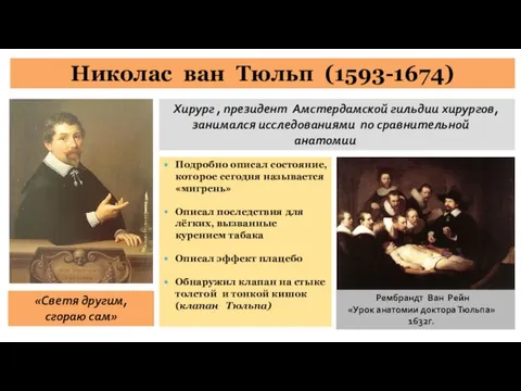 Николас ван Тюльп (1593-1674) «Светя другим, сгораю сам» Хирург , президент