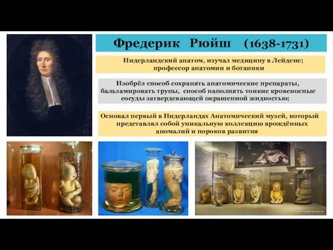 Фредерик Рюйш (1638-1731) Нидерландский анатом, изучал медицину в Лейдене; профессор анатомии