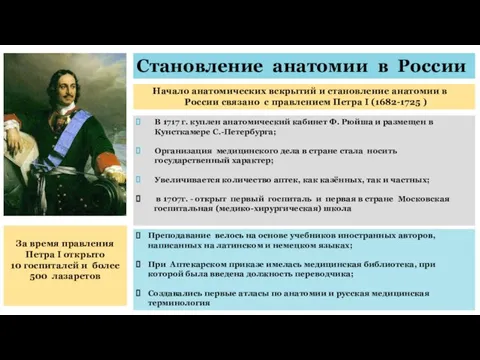 Становление анатомии в России Начало анатомических вскрытий и становление анатомии в