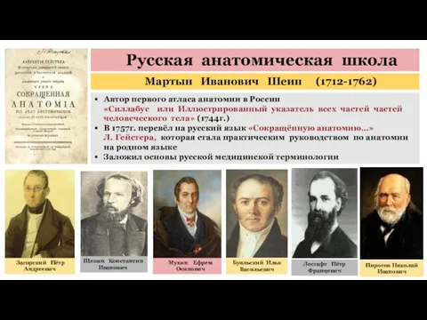 Русская анатомическая школа Мартын Иванович Шеин (1712-1762) Автор первого атласа анатомии