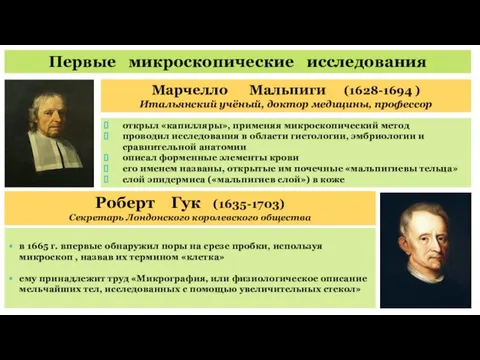 Первые микроскопические исследования Марчелло Мальпиги (1628-1694 ) Итальянский учёный, доктор медицины,