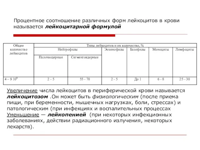 Процентное соотношение различных форм лейкоцитов в крови называется лейкоцитарной формулой Увеличение