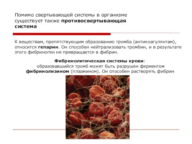 Помимо свертывающей системы в организме существует также противосвертывающая система К веществам,