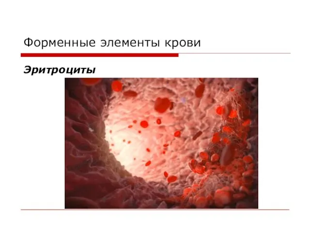 Форменные элементы крови Эритроциты