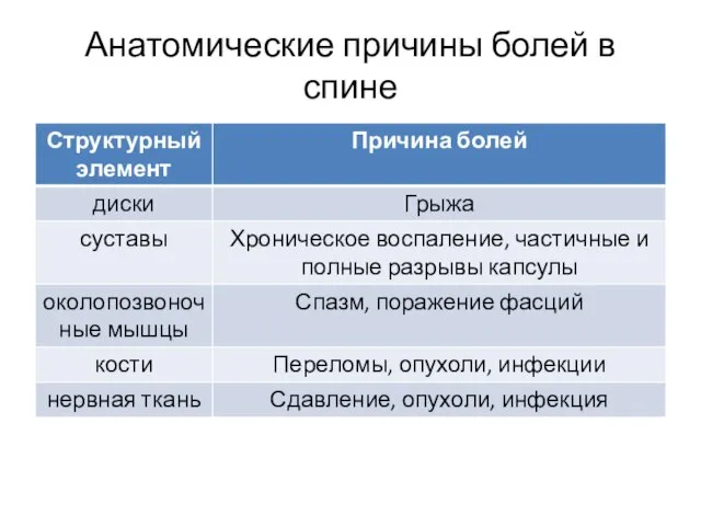 Анатомические причины болей в спине