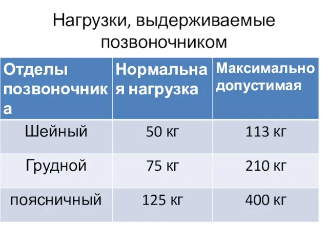 Нагрузки, выдерживаемые позвоночником