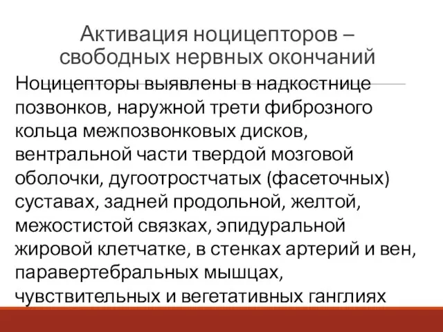 Активация ноцицепторов – свободных нервных окончаний Ноцицепторы выявлены в надкостнице позвонков,