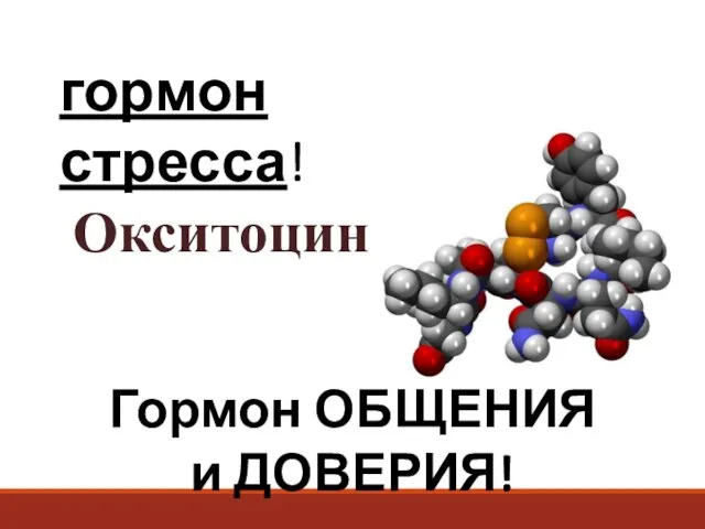 гормон стресса! Окситоцин Гормон ОБЩЕНИЯ и ДОВЕРИЯ!