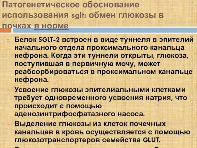 Патогенетическое обоснование использования sglt: обмен глюкозы в почках в норме Белок