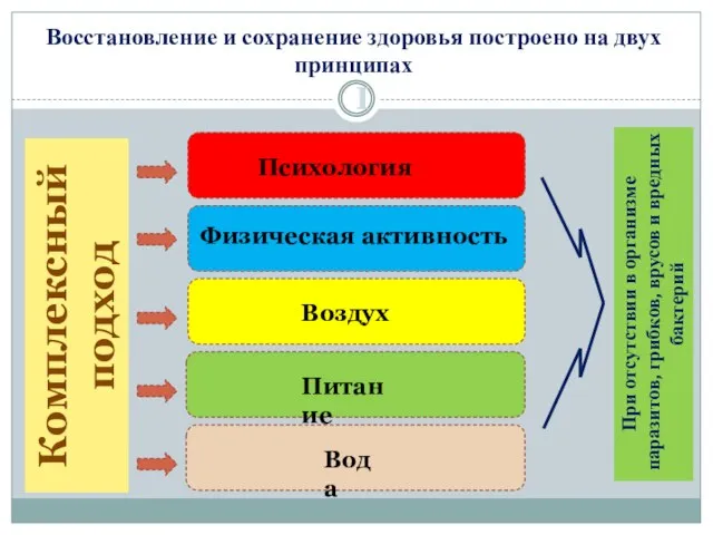 Восстановление и сохранение здоровья построено на двух принципах I Комплексный подход