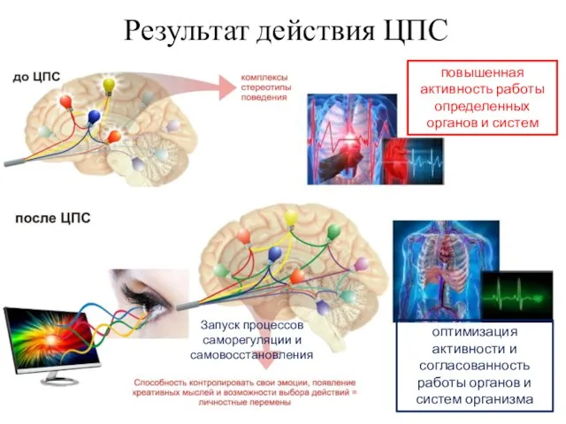 Результат действия ЦПС Запуск процессов саморегуляции и самовосстановления повышенная активность работы