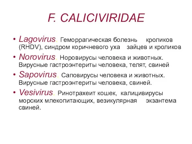 F. CALICIVIRIDAE Lagovirus. Геморрагическая болезнь кроликов (RHDV), синдром коричневого уха зайцев