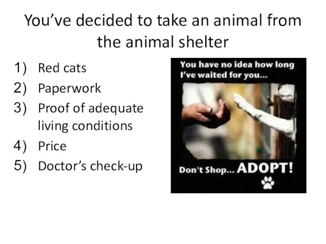 You’ve decided to take an animal from the animal shelter Red