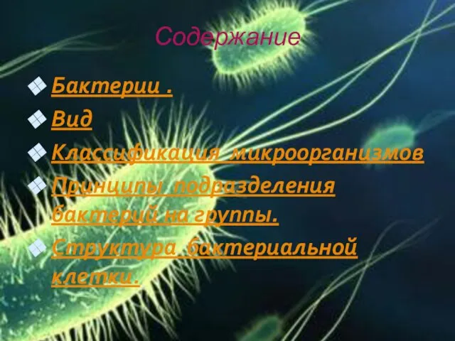 Содержание Бактерии . Вид Классификация микроорганизмов Принципы подразделения бактерий на группы. Структура бактериальной клетки.
