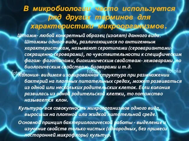 В микробиологии часто используется ряд других терминов для характеристики микроорганизмов. Штамм-