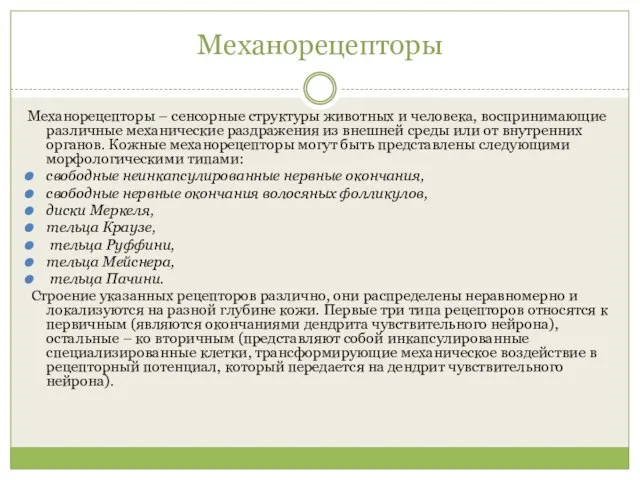 Механорецепторы Механорецепторы – сенсорные структуры животных и человека, воспринимающие различные механические