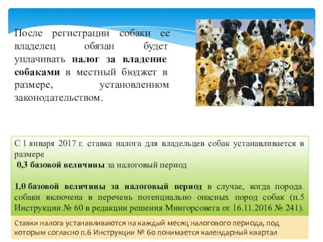 После регистрации собаки ее владелец обязан будет уплачивать налог за владение