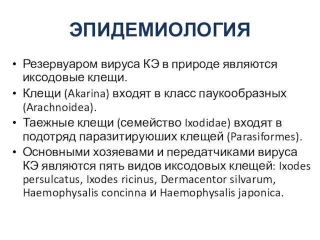 ЭПИДЕМИОЛОГИЯ Резервуаром вируса КЭ в природе являются иксодовые клещи. Клещи (Akarina)