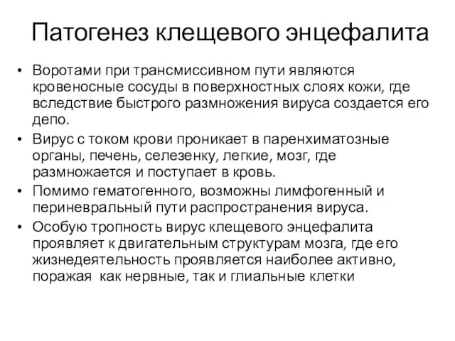 Патогенез клещевого энцефалита Воротами при трансмиссивном пути являются кровеносные сосуды в