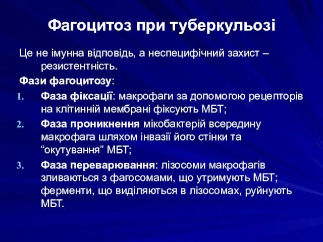 Фагоцитоз при туберкульозі Це не імунна відповідь, а неспецифічний захист –