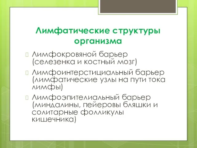 Лимфатические структуры организма Лимфокровяной барьер (селезенка и костный мозг) Лимфоинтерстициальный барьер