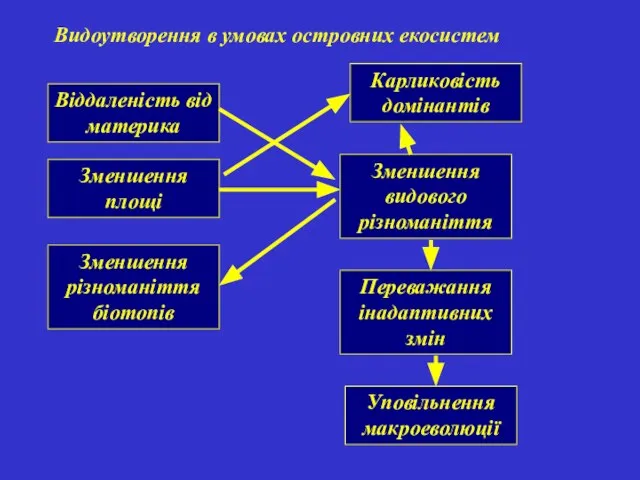 Видоутворення в умовах островних екосистем Віддаленість від материка Зменшення площі Зменшення різноманіття біотопів