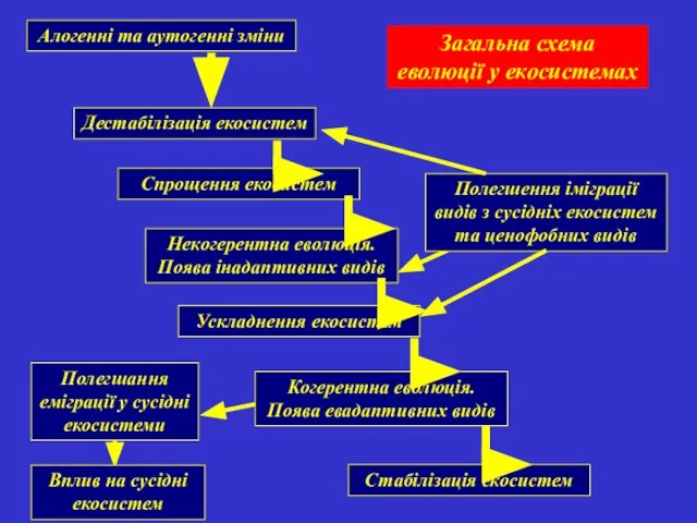 Загальна схема еволюції у екосистемах Алогенні та аутогенні зміни