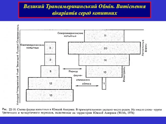 Великий Трансамериканський Обмін. Витіснення вікаріатів серед копитних