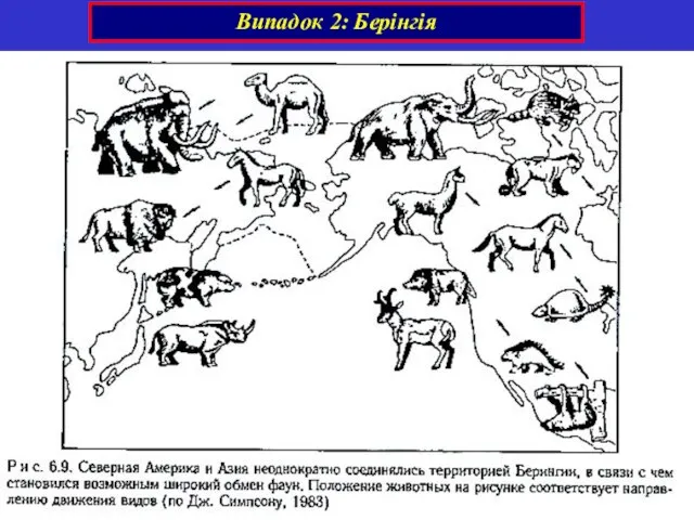 Випадок 2: Берінгія