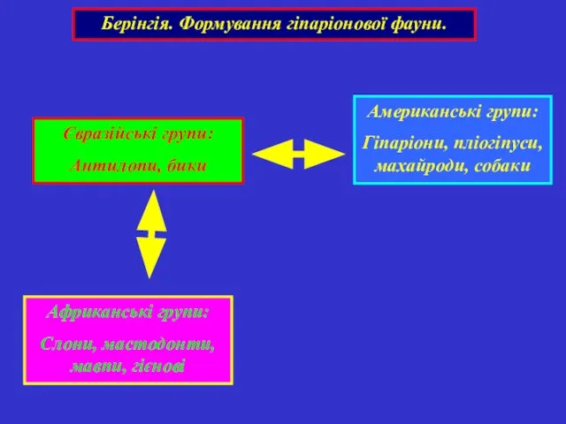 Берінгія. Формування гіпаріонової фауни. Американські групи: Гіпаріони, пліогіпуси, махайроди, собаки Євразійські