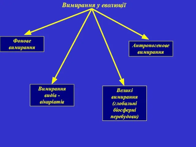 Вимирання у еволюції Фонове вимирання Вимирання видів - вікаріатів Великі вимирання (глобальні біосферні перебудови) Антропогенове вимирання