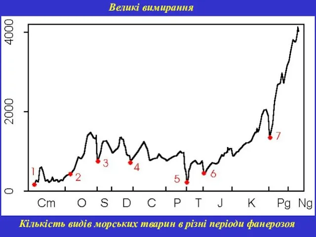 Великі вимирання Кількість видів морських тварин в різні періоди фанерозоя