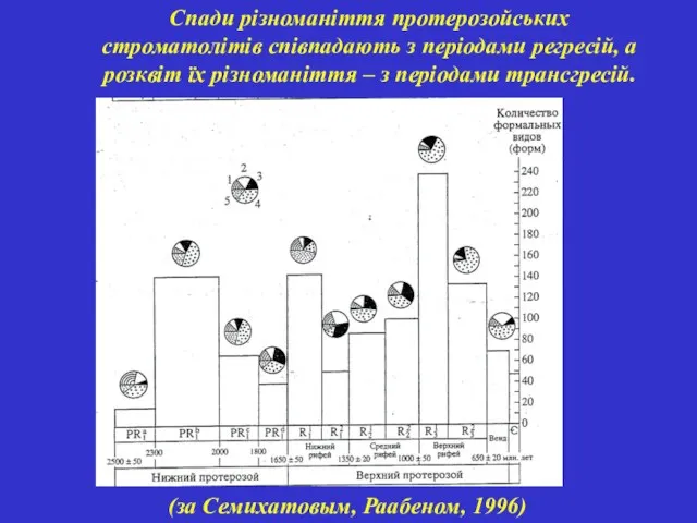 Спади різноманіття протерозойських строматолітів співпадають з періодами регресій, а розквіт їх