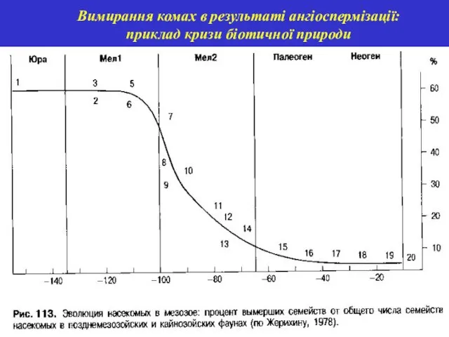 Вимирання комах в результаті ангіоспермізації: приклад кризи біотичної природи