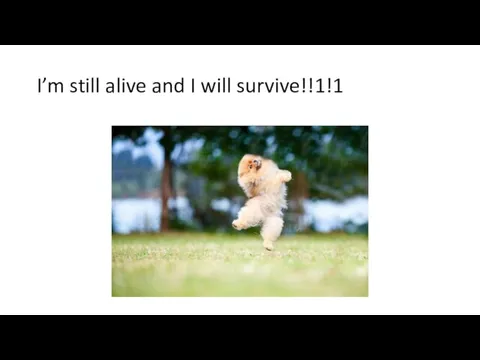 I’m still alive and I will survive!!1!1