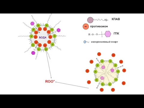 ROO∙ КПАВ противоион изопропиловый спирт ГПК