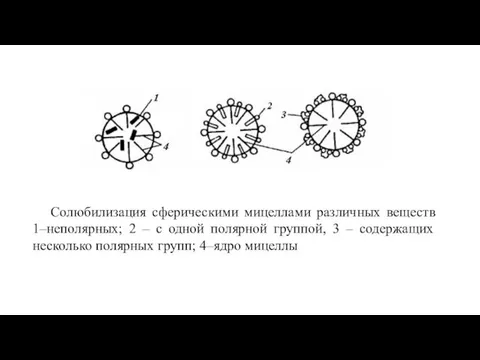 Солюбилизация сферическими мицеллами различных веществ 1–неполярных; 2 – с одной полярной