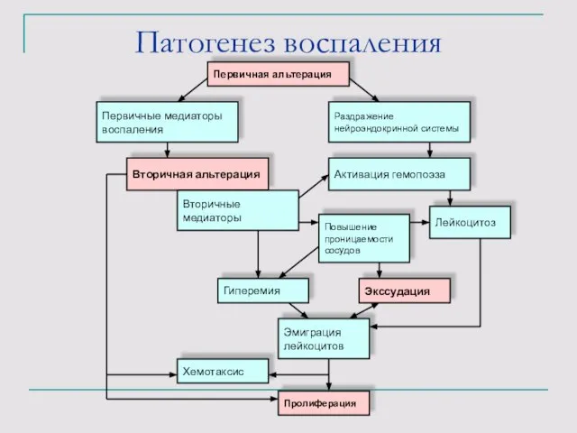 Патогенез воспаления