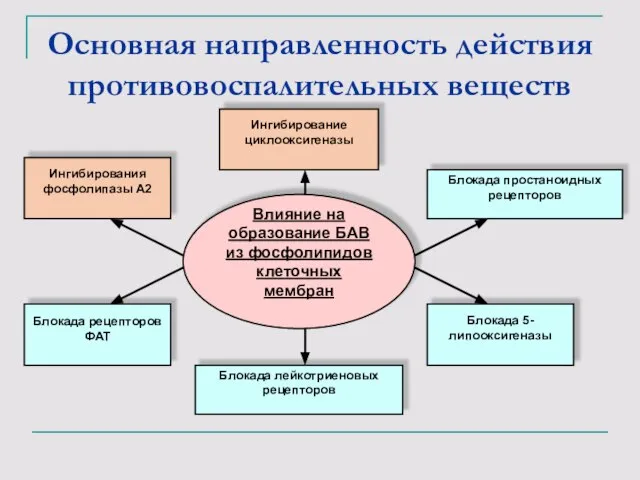 Основная направленность действия противовоспалительных веществ