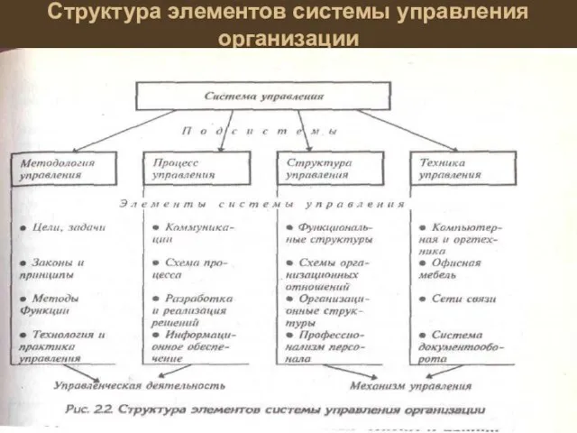 Структура элементов системы управления организации