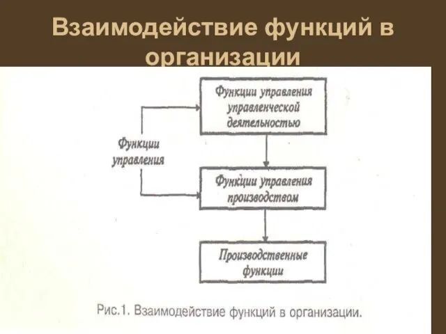 Взаимодействие функций в организации