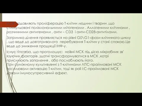 МСК подавляють проліферацію Т-клітин людини і тварин ,що стимульовані поліклональними мітогенами