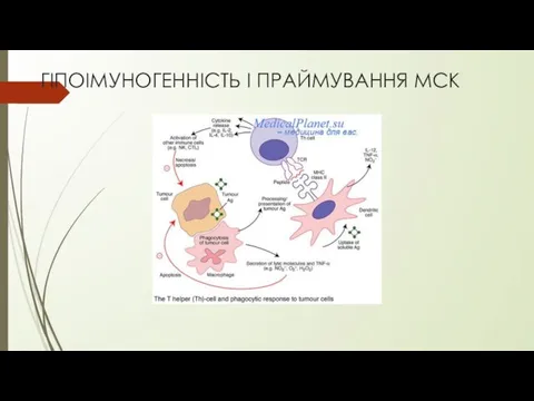 ГІПОІМУНОГЕННІСТЬ І ПРАЙМУВАННЯ МСК