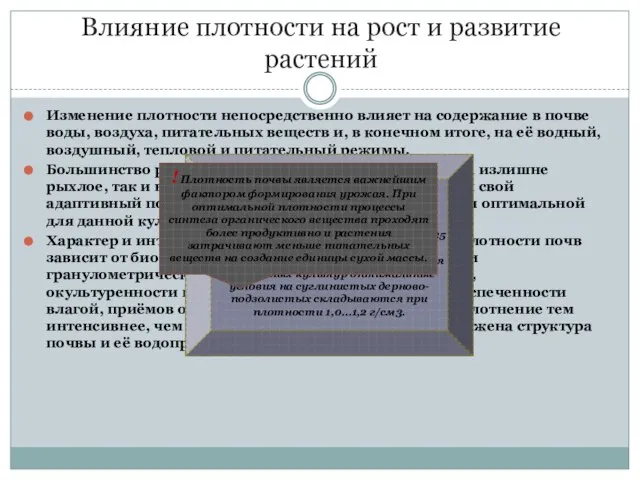 Влияние плотности на рост и развитие растений Изменение плотности непосредственно влияет