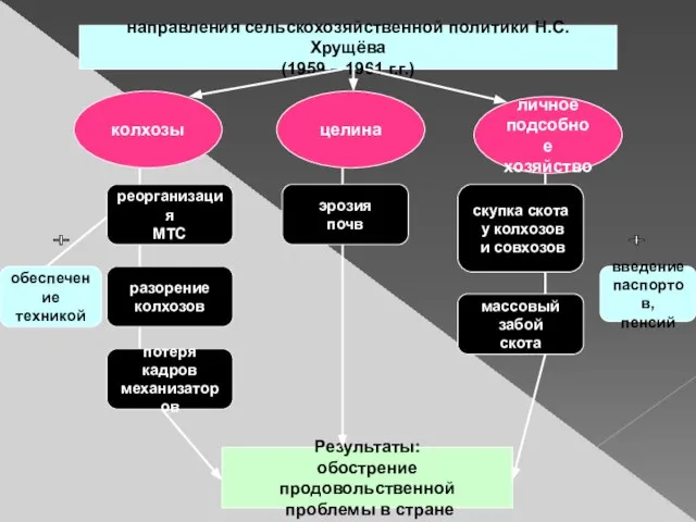 направления сельскохозяйственной политики Н.С. Хрущёва (1959 – 1961 г.г.) личное подсобное