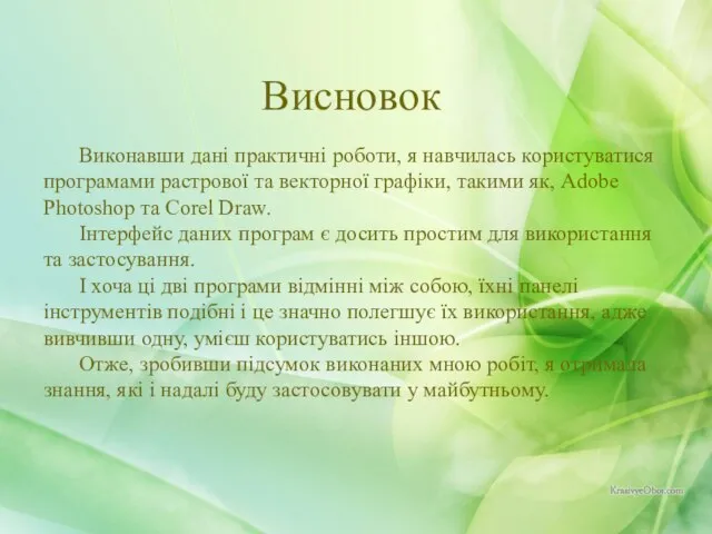 Виконавши дані практичні роботи, я навчилась користуватися програмами растрової та векторної