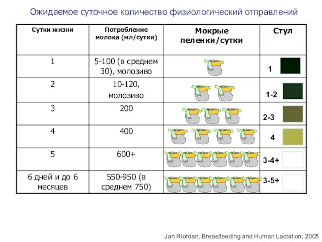 Ожидаемое суточное количество физиологический отправлений Jan Riordan, Breastfeeding and Human Lactation,