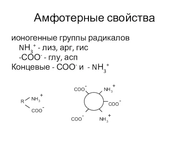 Амфотерные свойства ионогенные группы радикалов NН3+ - лиз, арг, гис -СОО-