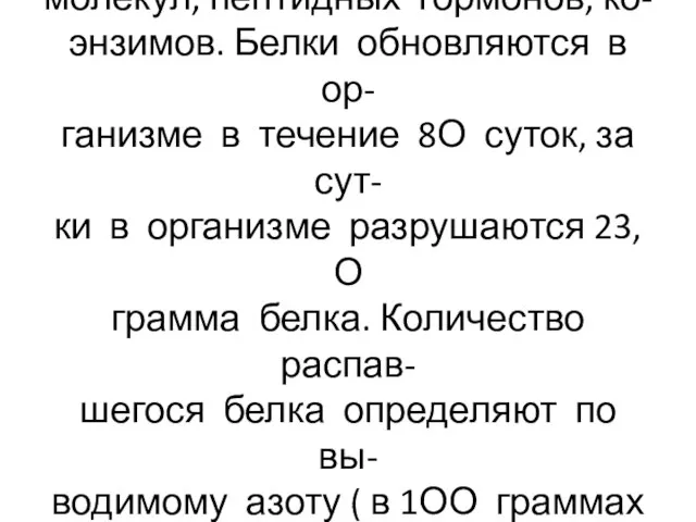 Пластическая роль белков пищи заключается в синтезе белковых молекул, пептидных гормонов,