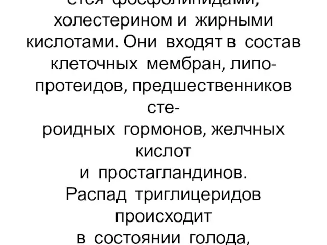 Пластическая функция осуществля- ется фосфолипидами,холестерином и жирными кислотами. Они входят в